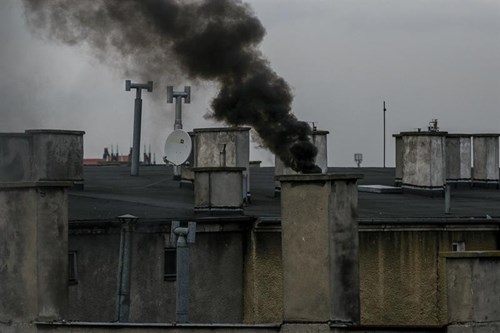 Program Zefirek Szczecin