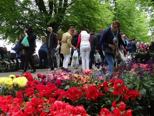 Kiermasz ogrodniczy „Pamiętajcie o ogrodach" w Szczecinie