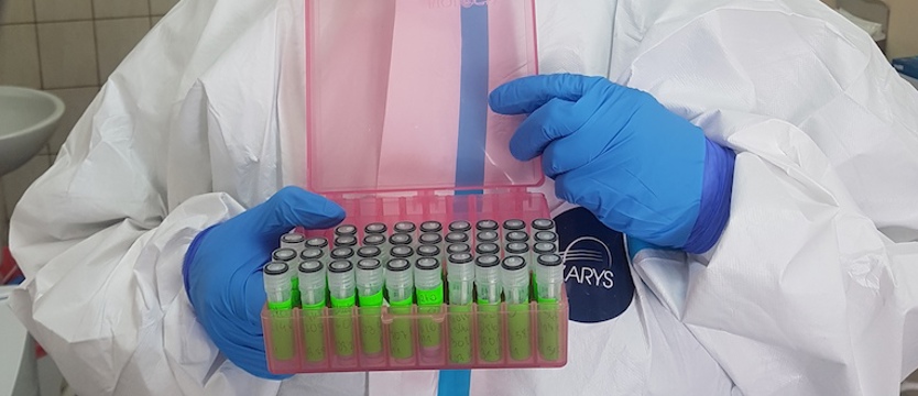 W regionie w poniedziałek 356 przypadków koronawirusa. Zmarły 4 osoby