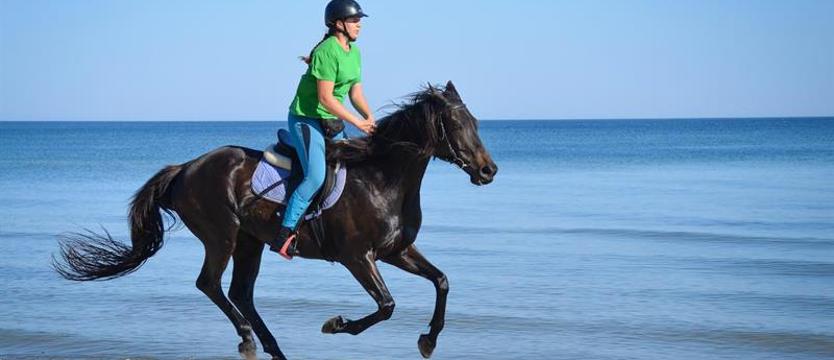 Koni nie da się oszukać. Zwierzęta, które leczą