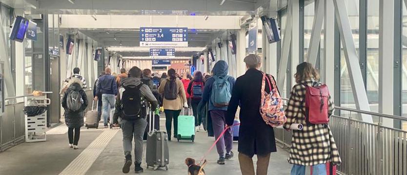 MEN ukróci nieobecności w szkole