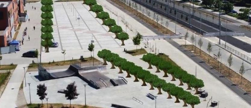 Dęby zamiast pomników. Zieleń w miejscu betonowej „wyspy ciepła” [SONDA]