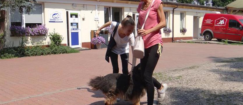 Bombowa Bunia odzyskuje formę