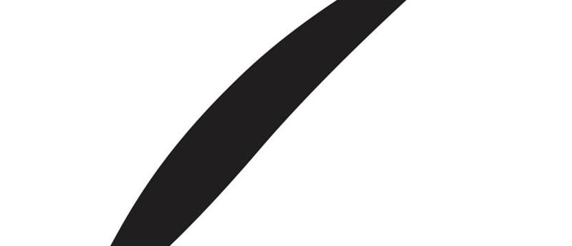 Bliżej gwiazd. Swastyka, pięcioramienna gwiazda i znak „Z”