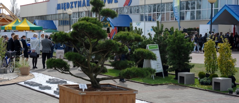 Nie ma chętnych na MTS