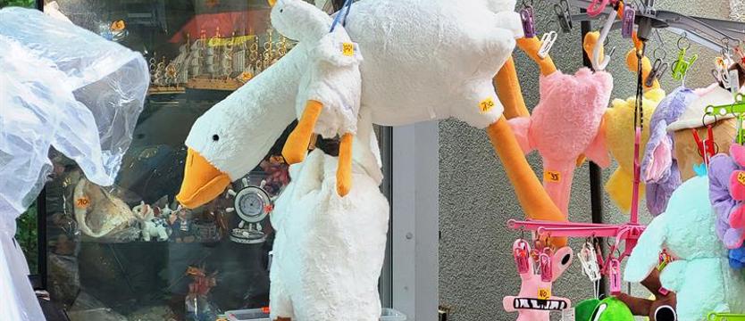Pluszowe gęsi hitem sezonu wakacyjnego