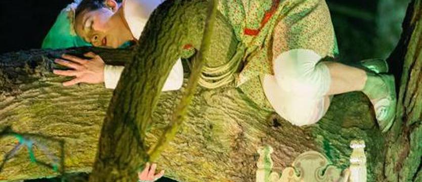 Kontrapunkt w plenerze