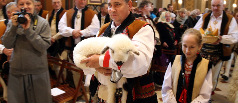 Święcenie... owiec