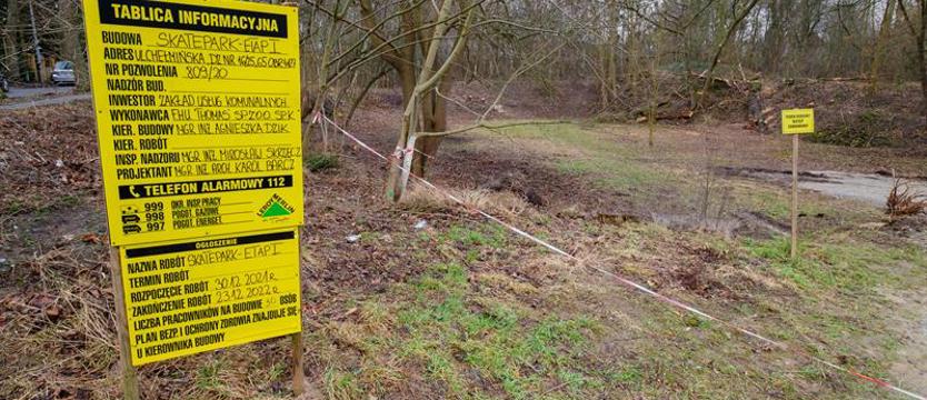 W Podjuchach drzewa zastąpi beton