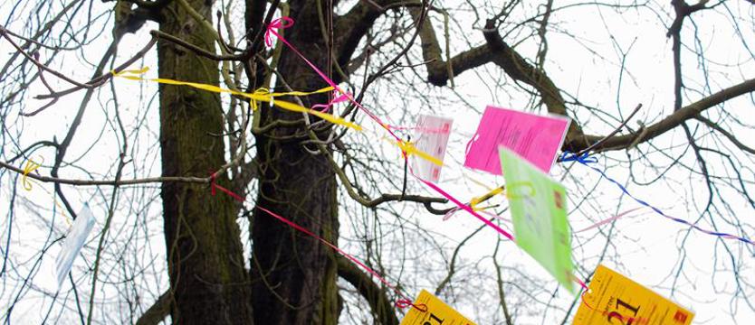 Wiersze na drzewach w Światowy Dzień Poezji