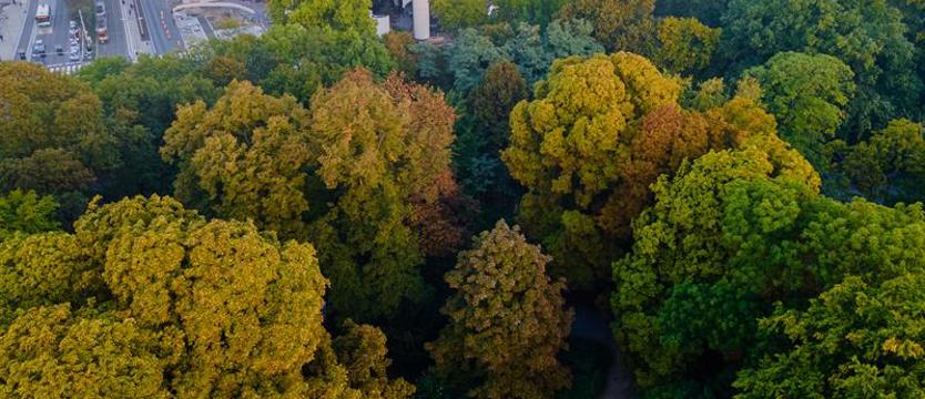 Początek kalendarzowej i astronomicznej jesieni