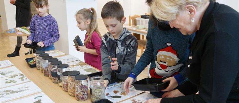 To już półmetek ferii