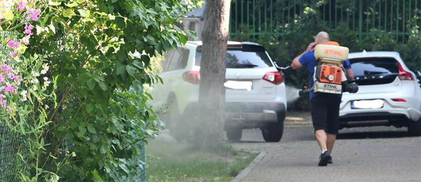 W Świnoujściu ruszyło odkomarzanie