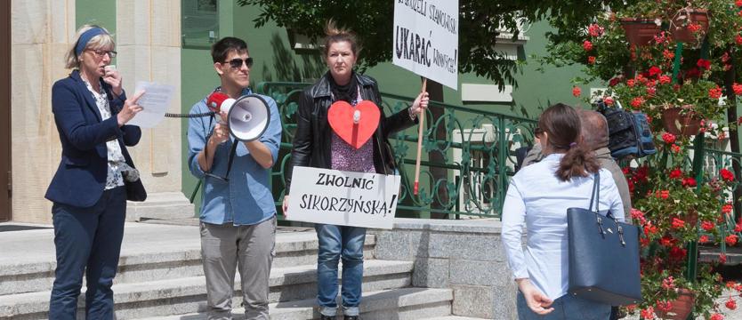 Wolontariat dla schroniska