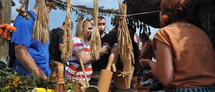 Bardzo smaczne chwasty