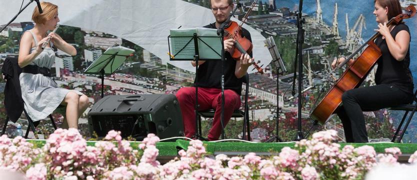 Szczecin  – moje miasto