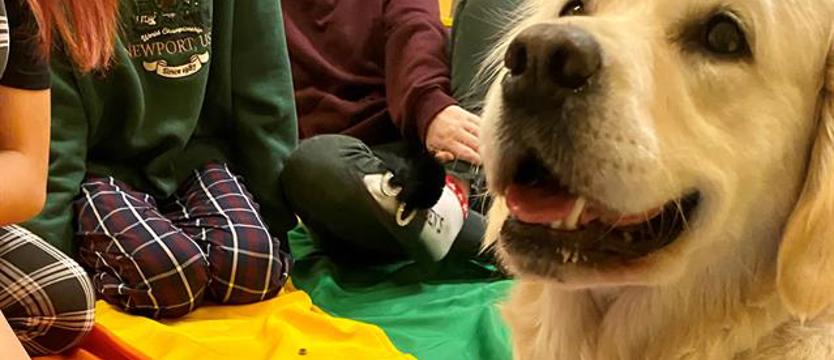 Zabawa z psem lub przygoda z teatrem