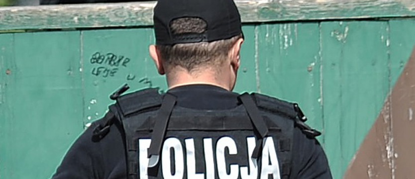 Kilkanaście zarzutów za włamania