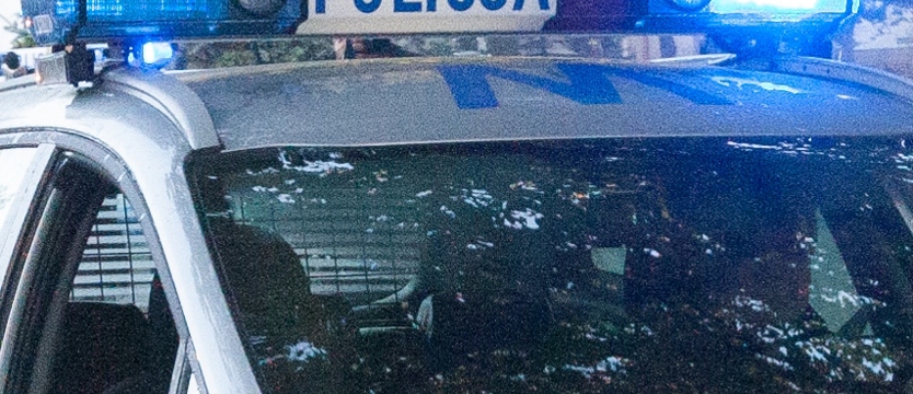 Zabójstwo w lesie?