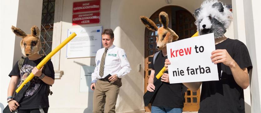 Protest u marszałka: „Krew to nie farba"