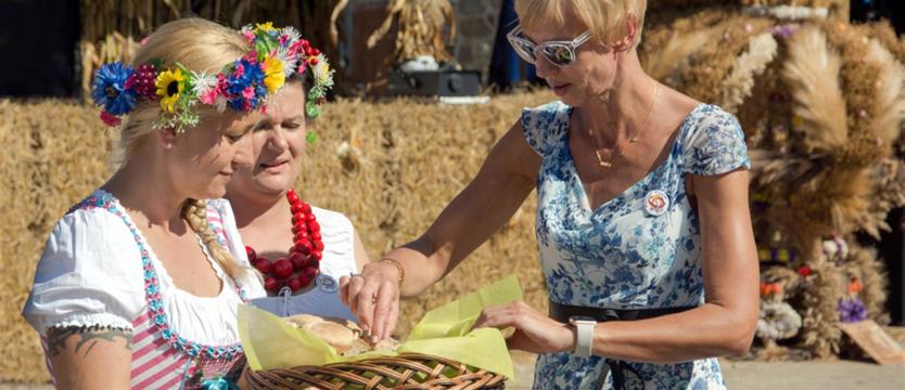 Słoneczny festyn u sąsiadów