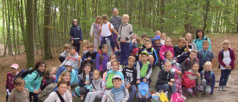 Podchody  w Puszczy Bukowej