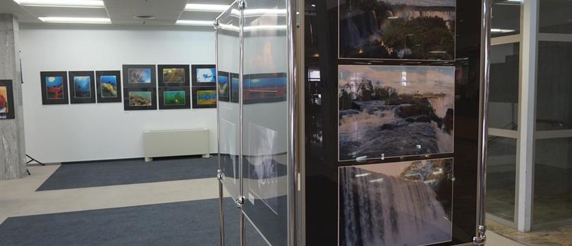 Lekarskie oko na wodę