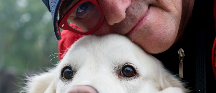 Czworonożni pomocnicy