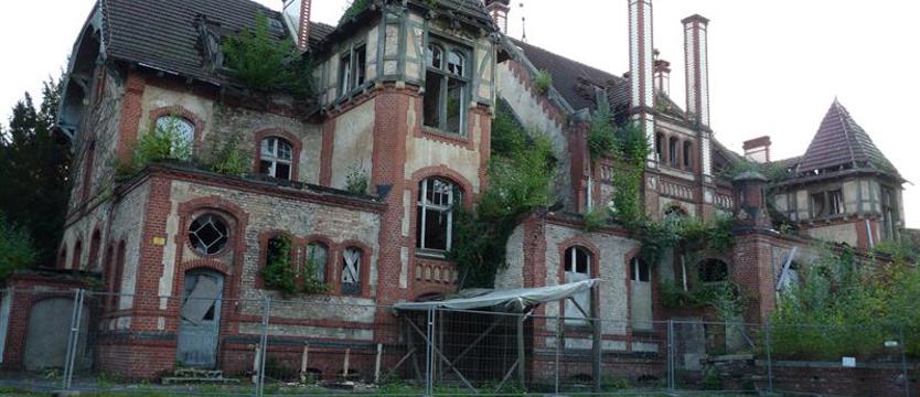 Spacer z historią wśród koron drzew. Luksus w ruinie