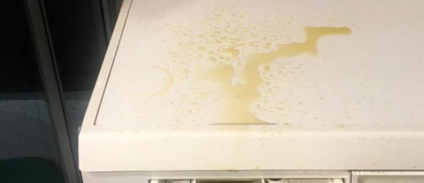 Makabra w kamienicy przy ul. Kopernika. Zwłoki sąsiada „przeciekły” przez sufit