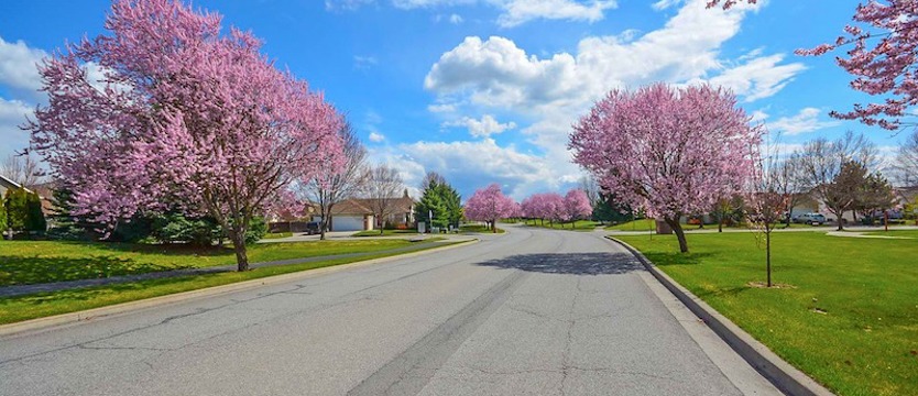 Więcej ulic w Szczecinie