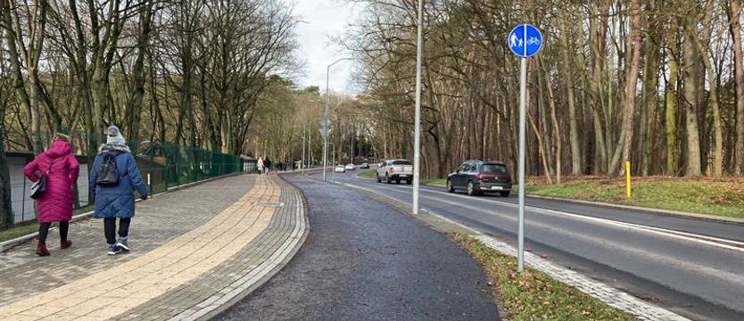 Spacer z rozpoznawaniem krzewów i drzew