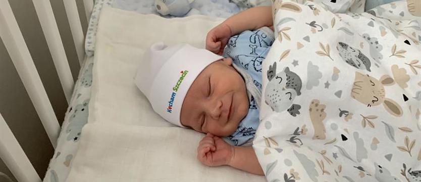 Statystyki nie kłamią. Coraz nas mniej…