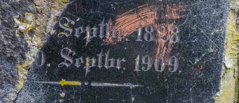 Nie taka pamięć. Błąd przeszłości – przykry widok