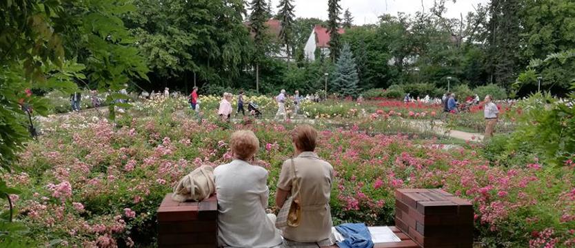 Przy marszałku działać będzie rada seniorów. Regionalny ośrodek przyjmuje zgłoszenia