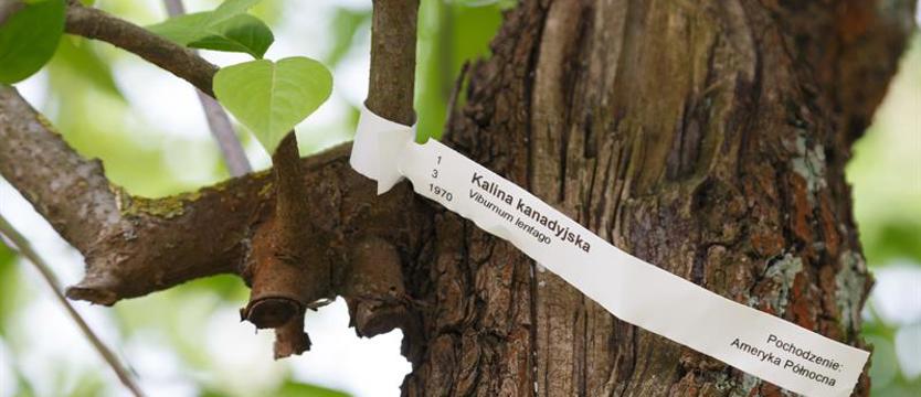 Ruszyła „zielona partyzantka”