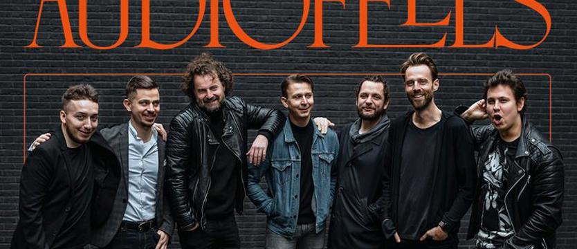 Audiofeels i siedem głosów głównych