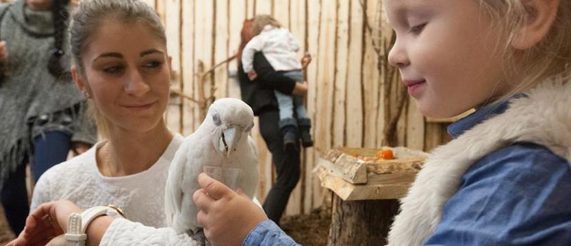 Papugarnia na Niebuszewie