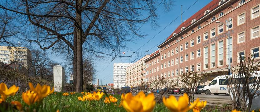 Nowe kwiaty dla alei