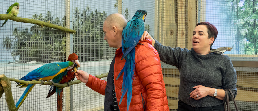 Wystartowała nowa papugarnia