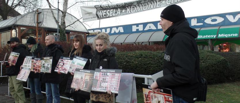 BASTA! zabijaniu zwierząt