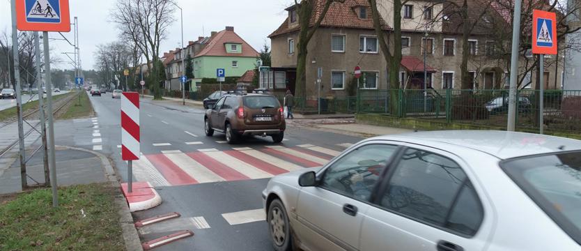 Zebra biało-czerwona