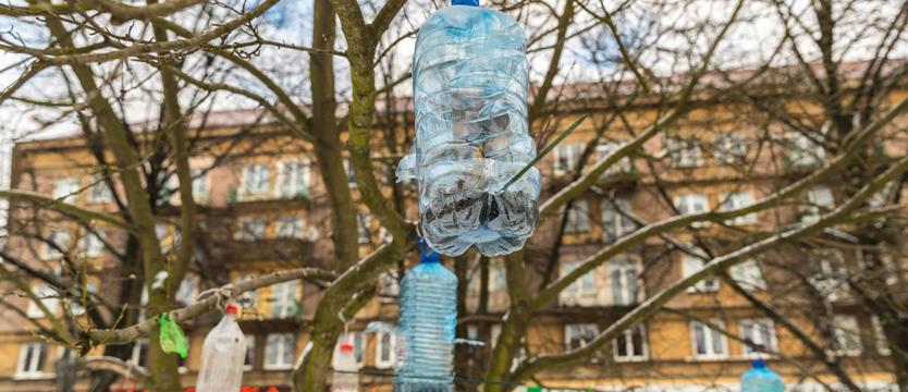 Recykling na drzewach
