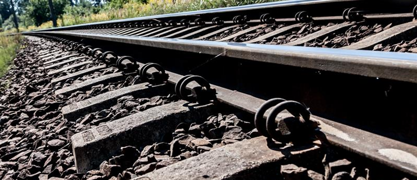 Namierzyć złoty pociąg