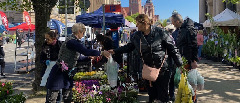 Niedziela wśród roślin. Kiermasz „Pamiętajcie o ogrodach”