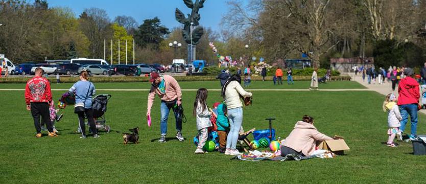 Czy Szczecin jest dobrym miastem do życia? Stolica Pomorza Zachodniego awansowała