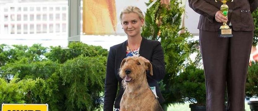 Psie piękności w Netto Arena. Mamy wejściówki