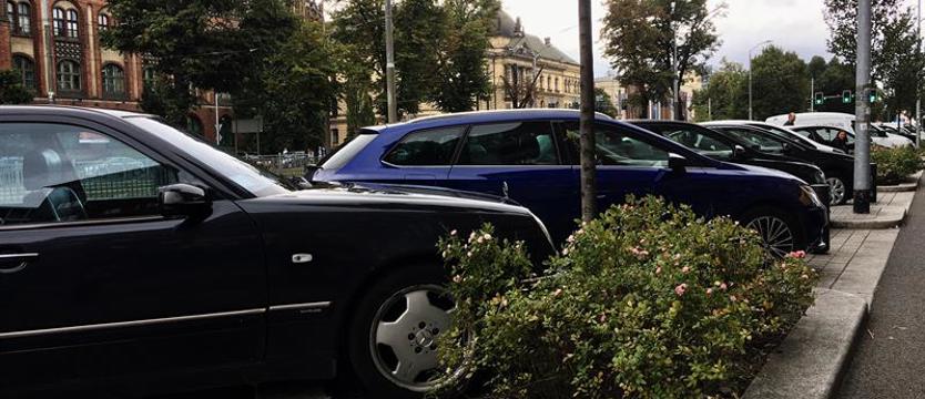 Zderzak na drzewie - koła na kwiatach