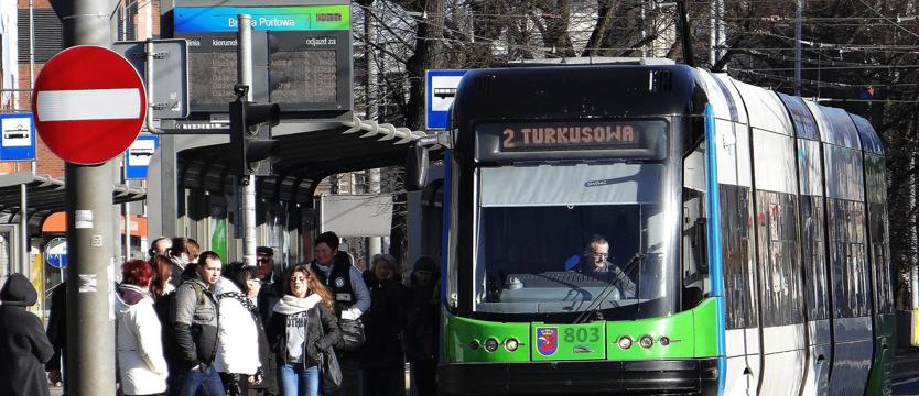 W poszukiwaniu mediatorów