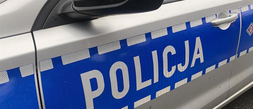 Odwołane poszukiwania. Amelia już jest z rodziną